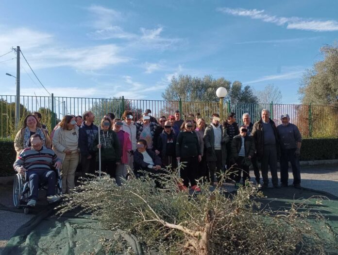 Δήμος Πατρέων