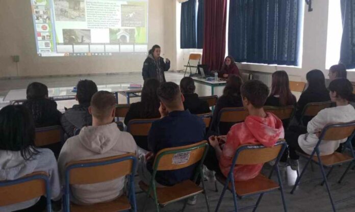 Δήμος Πατρέων