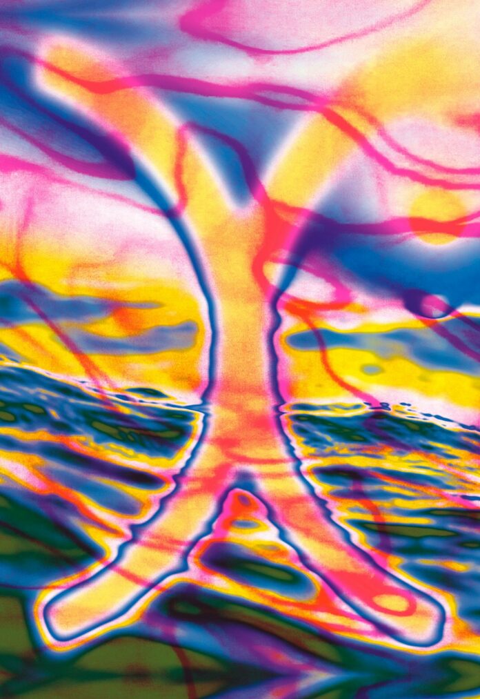 Φεστιβάλ Χίου