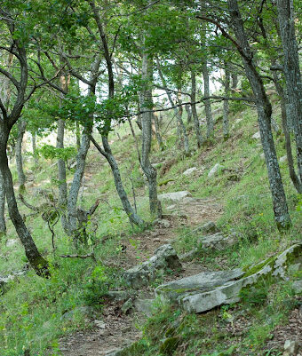 Ορειβατικές διαδρομές Δήμου Ιάσμου - Π.Ε. Ροδόπης