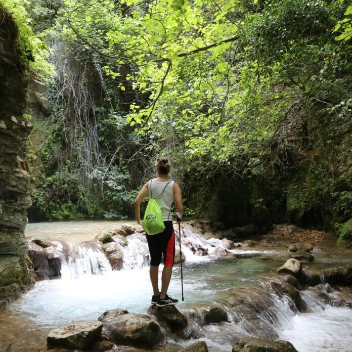 Δήμος Βορείων Τζουμέρκων