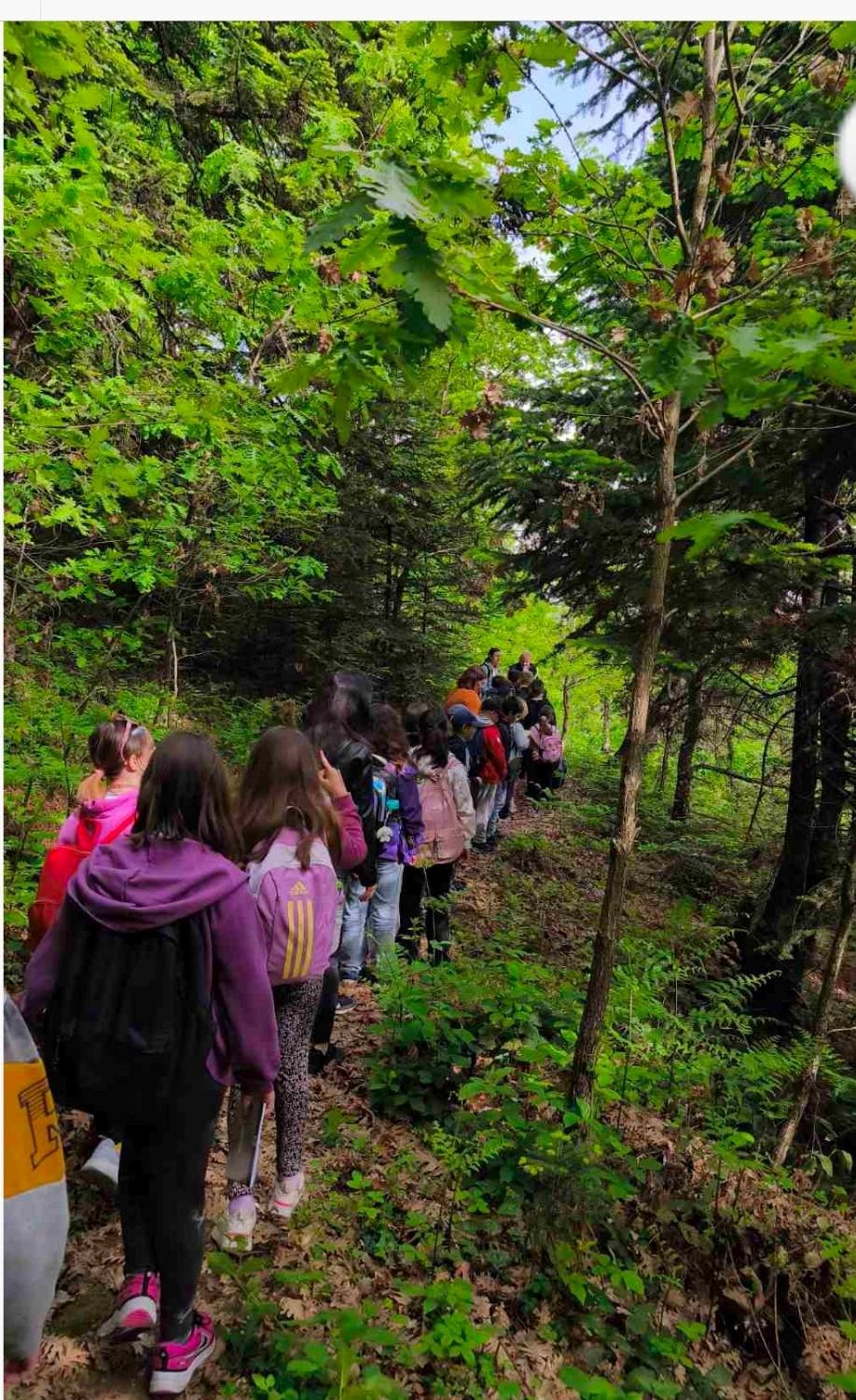 Δάσος Κερασιάς