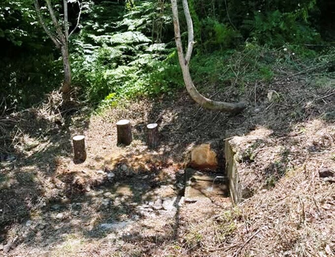 Κιούγκι Βερμίου