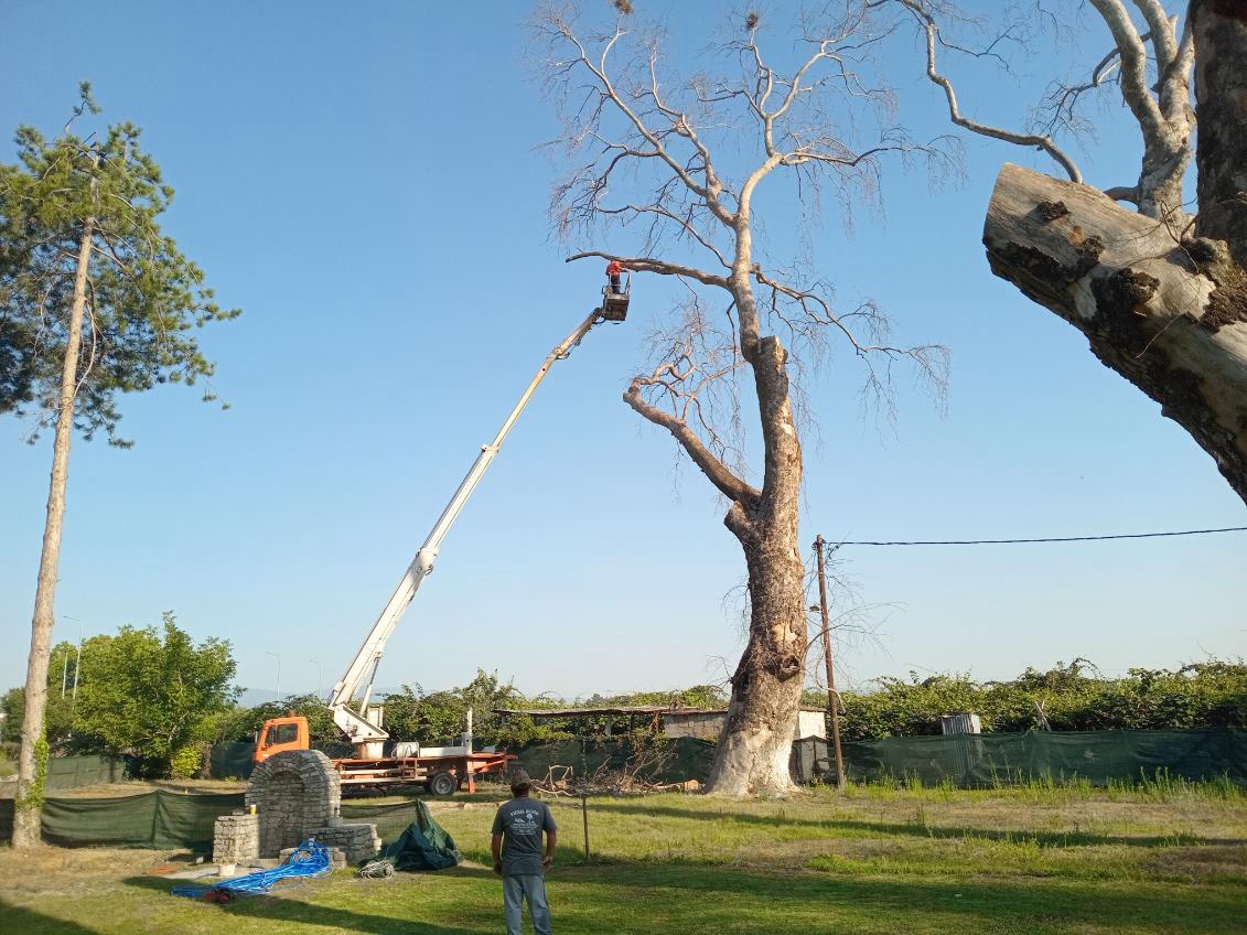 Δήμος Δίου-Ολύμπου